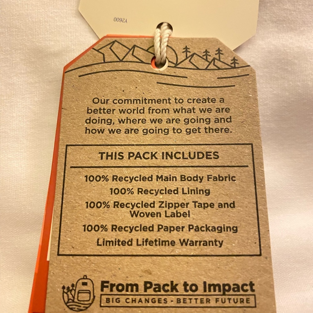 New ~ JanSport Cross Town Plus 17" Back To School Back Pack - Picture 7 of 9